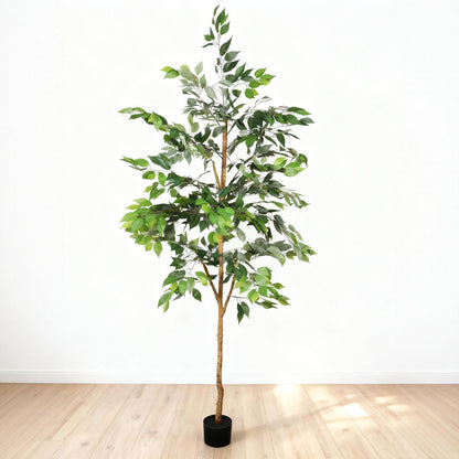 6Ft Artificial Ficus Tree With Natural Trunk In Pot For Indoor Home Office Decor - Green Leaves