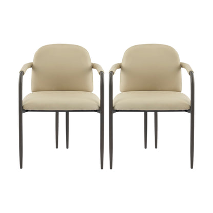 Modern Dining Chair (Set of 2) With Iron Frame - Espresso / Khaki